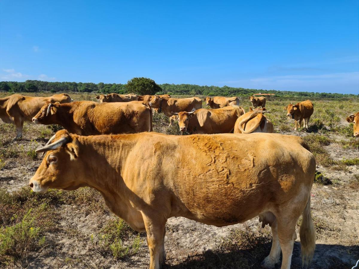 Herdade da Vagem Rogil Buitenkant foto