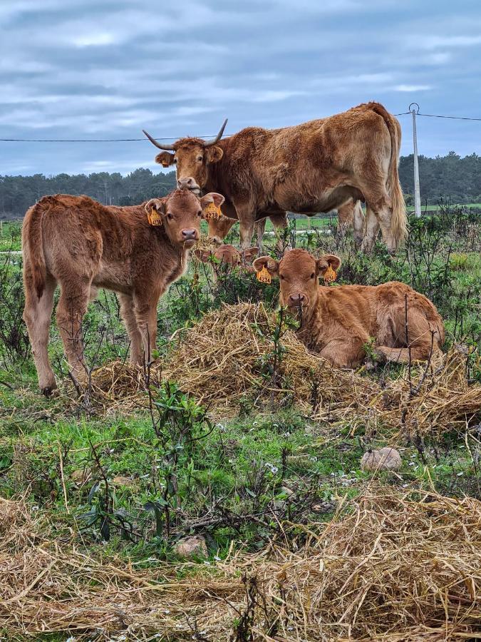 Herdade da Vagem Rogil Buitenkant foto