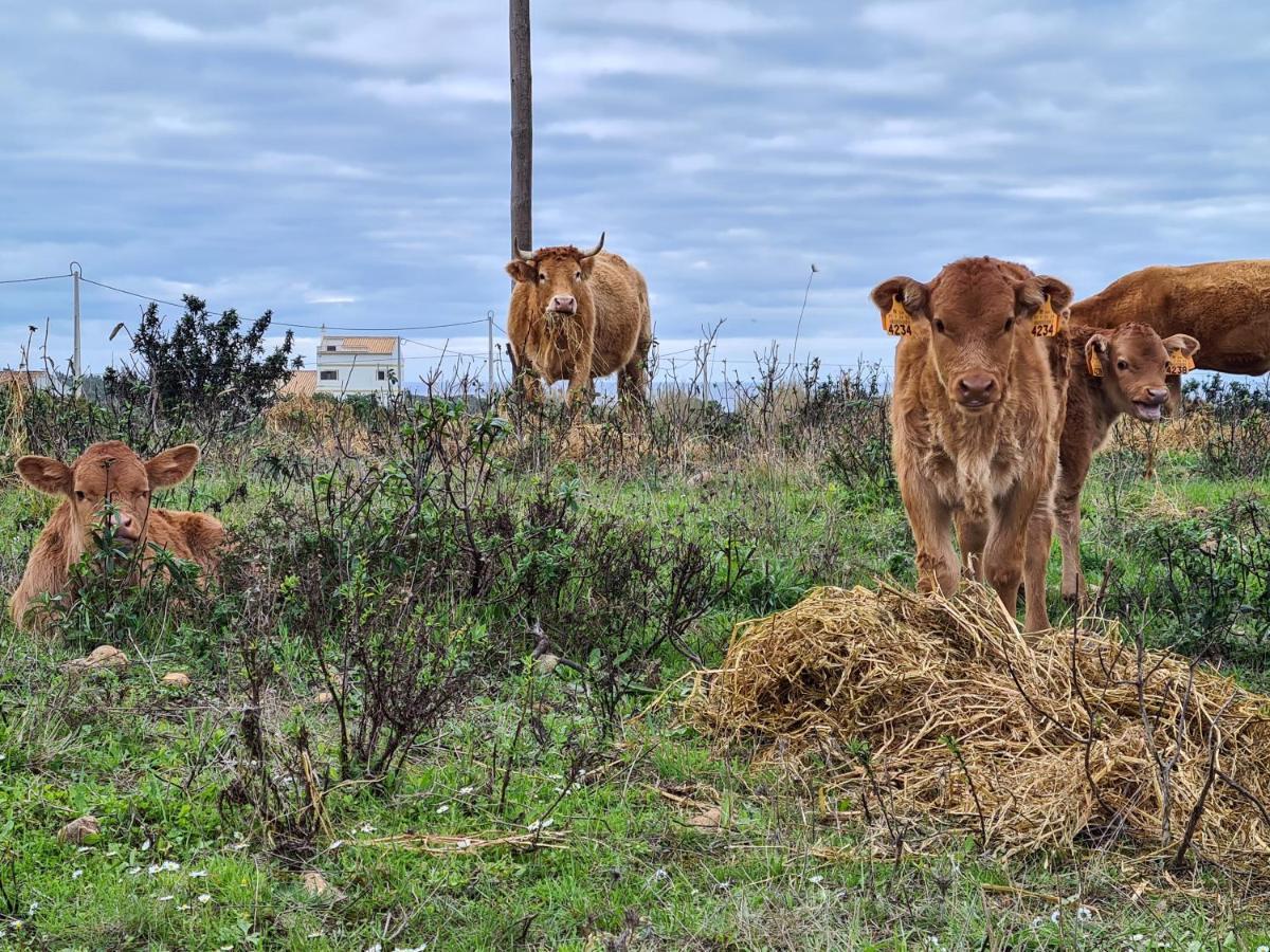 Herdade da Vagem Rogil Buitenkant foto